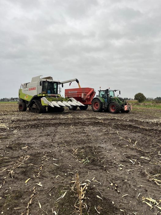 Mais dorsen onder natte omstandigheden… In samenwerking met Loonbedrijf Westerveld