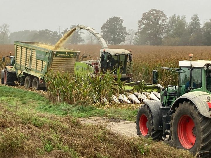 Drukke weken in oktober!